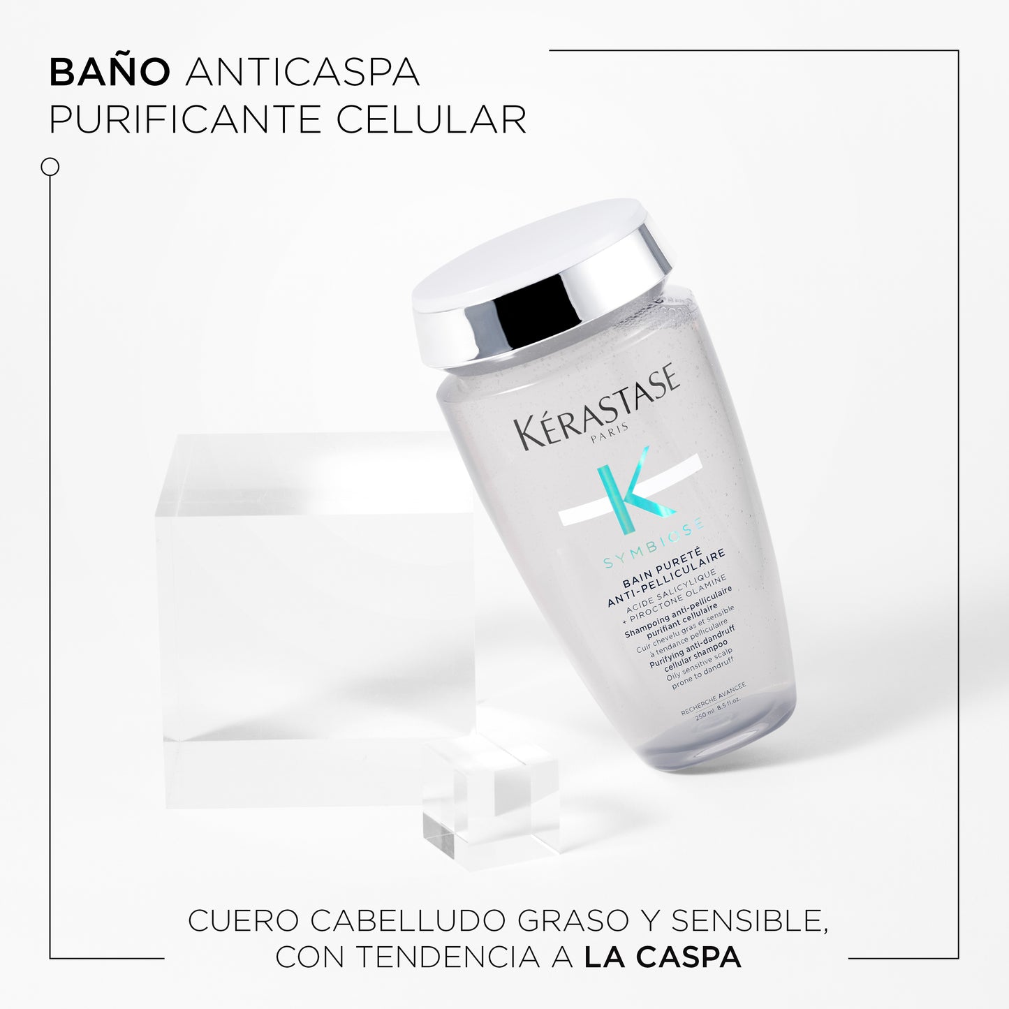 Bain Pureté Anti-Pelliculaire Symbiose Kérastase – Shampoo Anticaspa Purificante para Cuero Cabelludo Graso