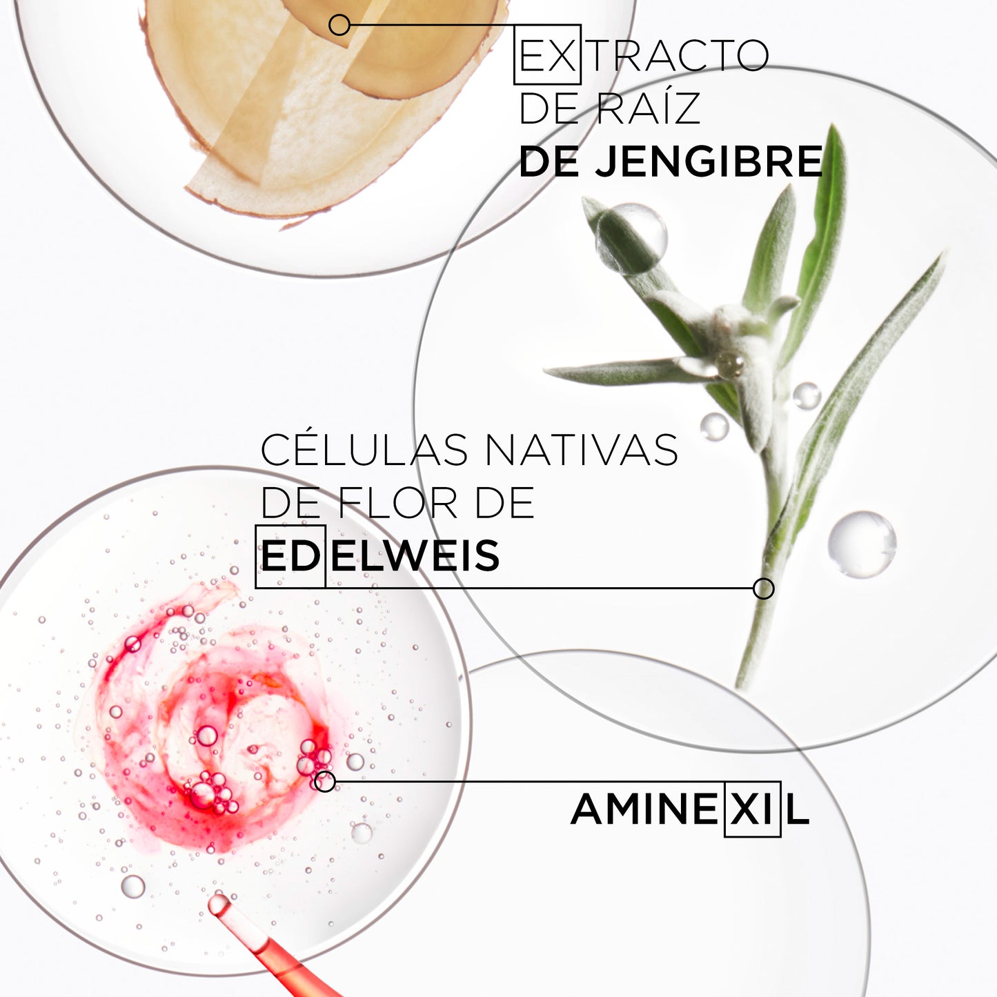Mascarilla Fortificante Anti-Caída Kérastase Genesis Masque Reconstituant 200ml – Cabello Débil y Quebradizo