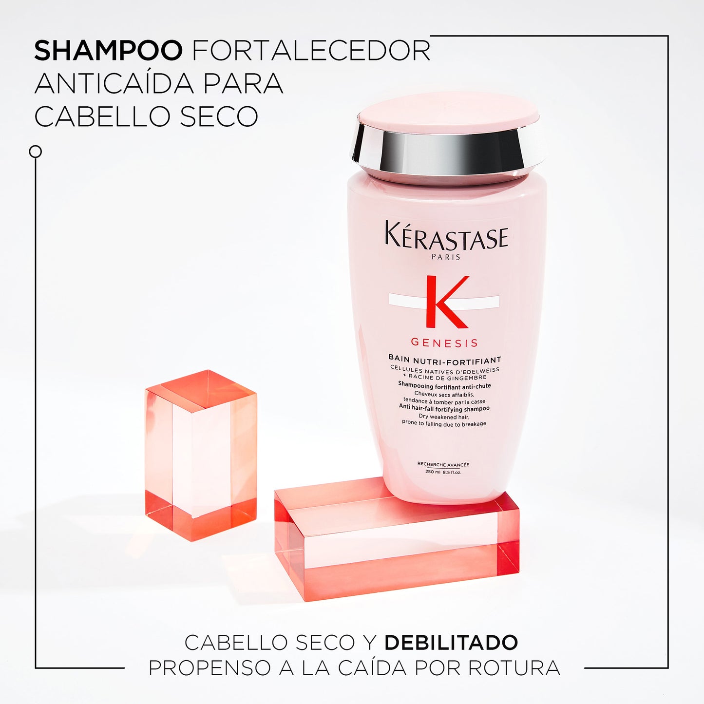 Shampoo Kérastase Genesis Nutri Fortifiant Anticaída 250 ml - Bain Nutri-Fortifiant