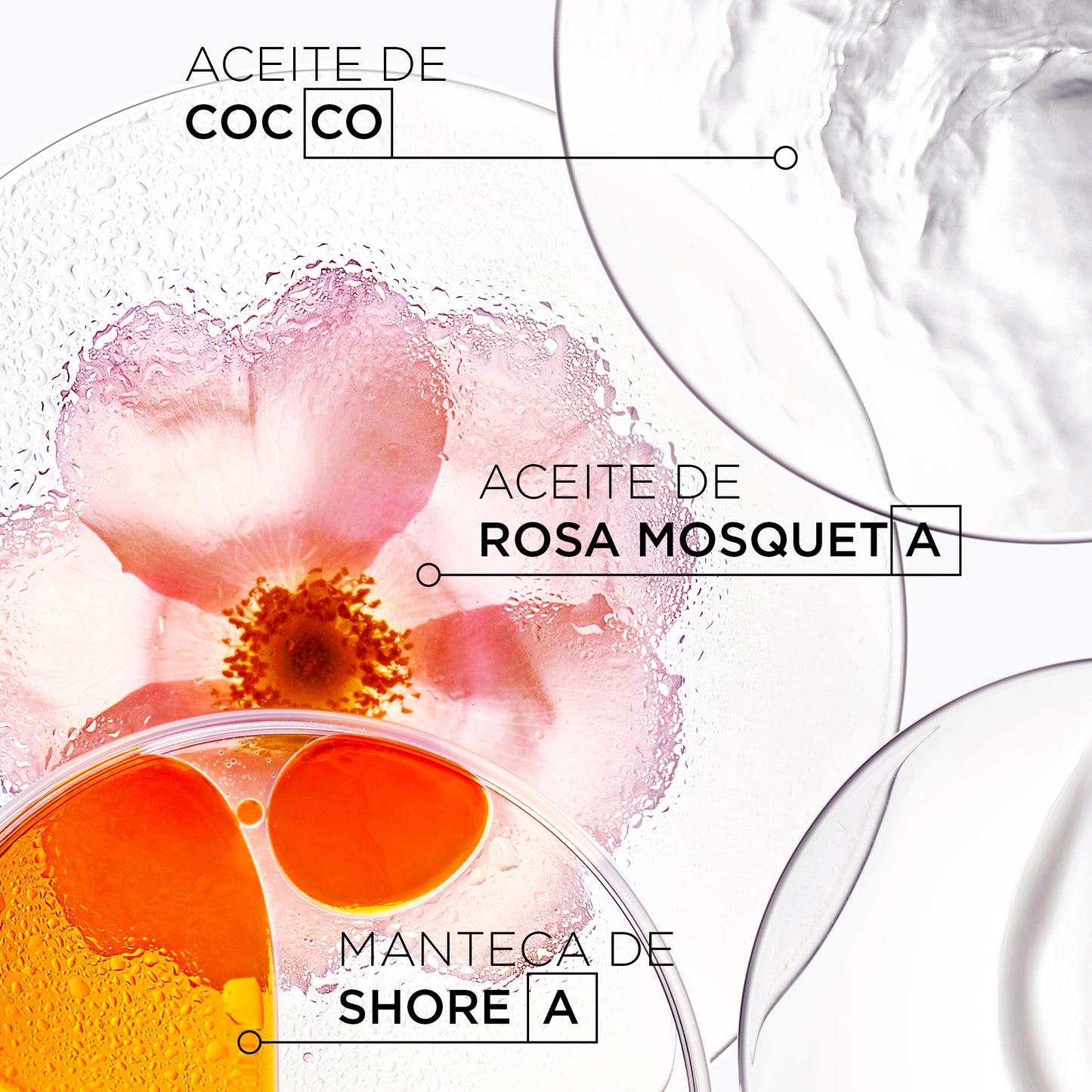 Kérastase Discipline – Bain Oléo-Relax 250ml | Shampoo Suavizante y Antifrizz para Cabello Seco y Rebelde
