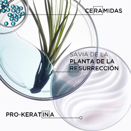 Kérastase Résistance – Bain Force Architecte 250ml | Shampoo Reconstrucción Capilar