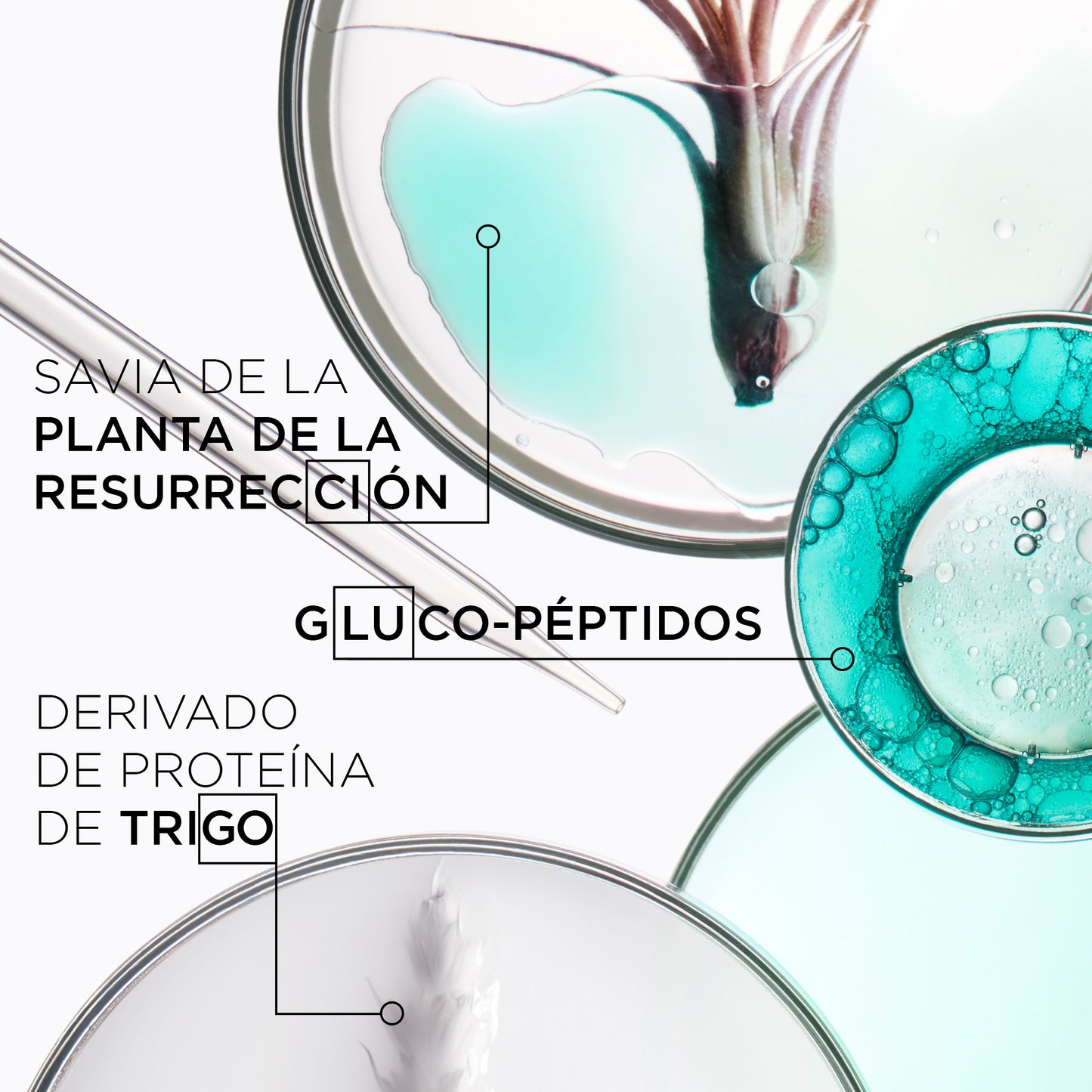 Kérastase Résistance – Bain Thérapiste 250ml | Shampoo Reparador para Cabello Muy Dañado