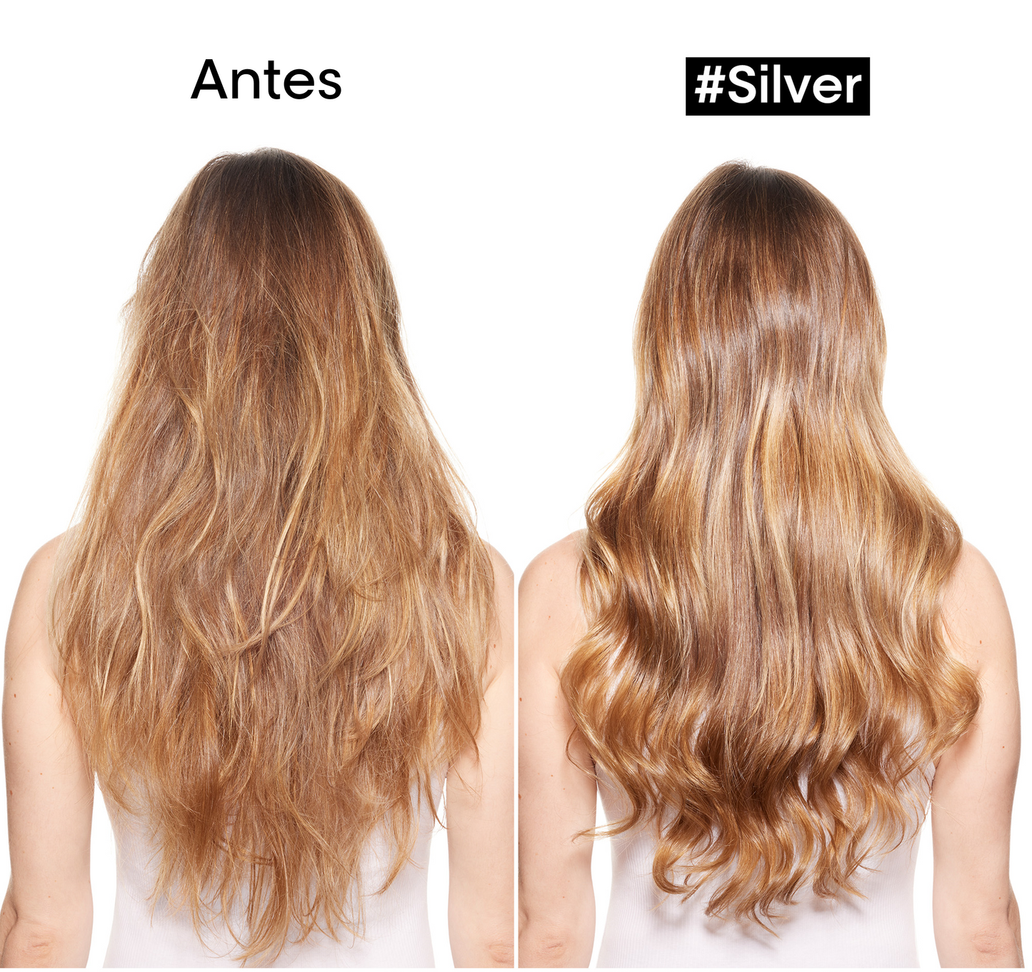 L’Oréal Professionnel Silver | Acondicionador 200ml Suavidad, Nutrición y Brillo para Cabello Gris o Rubio