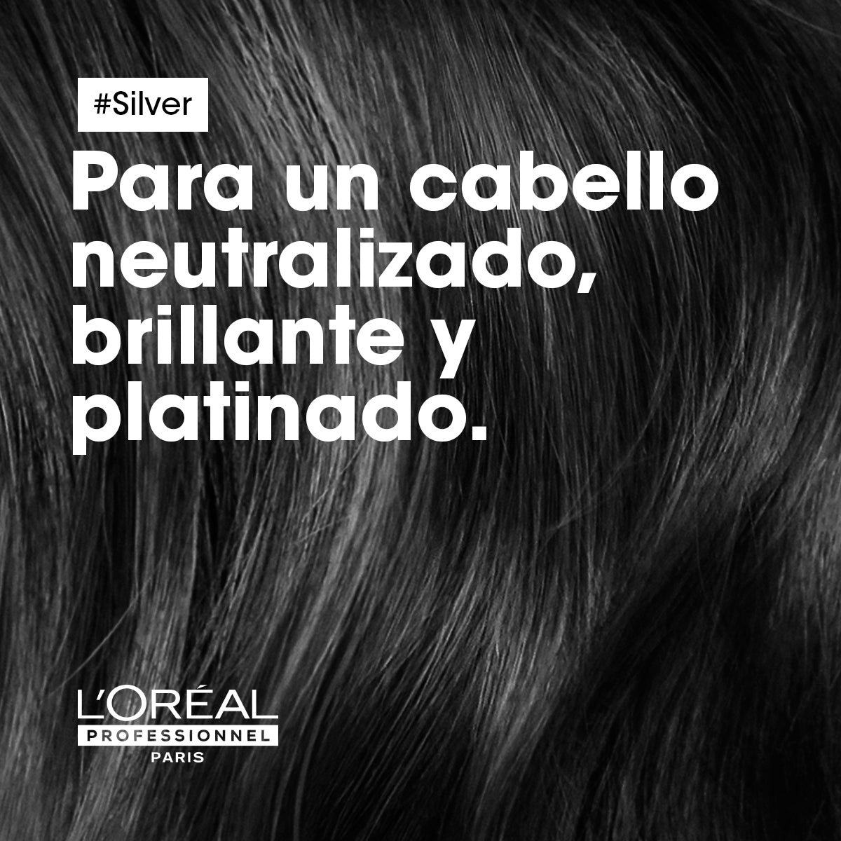 L’Oréal Professionnel Silver | Acondicionador 200ml Suavidad, Nutrición y Brillo para Cabello Gris o Rubio