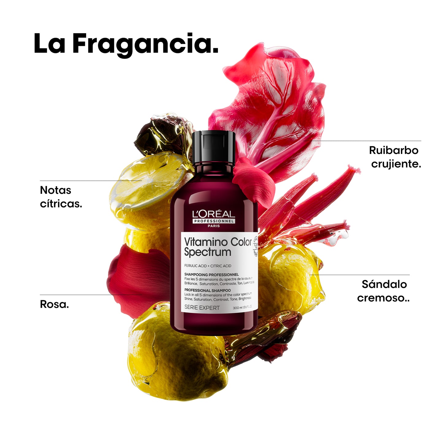 L’Oréal Professionnel Vitamino Color Spectrum | Shampoo 300ml Protección Antioxidante y Brillo Intenso para Cabello Teñido