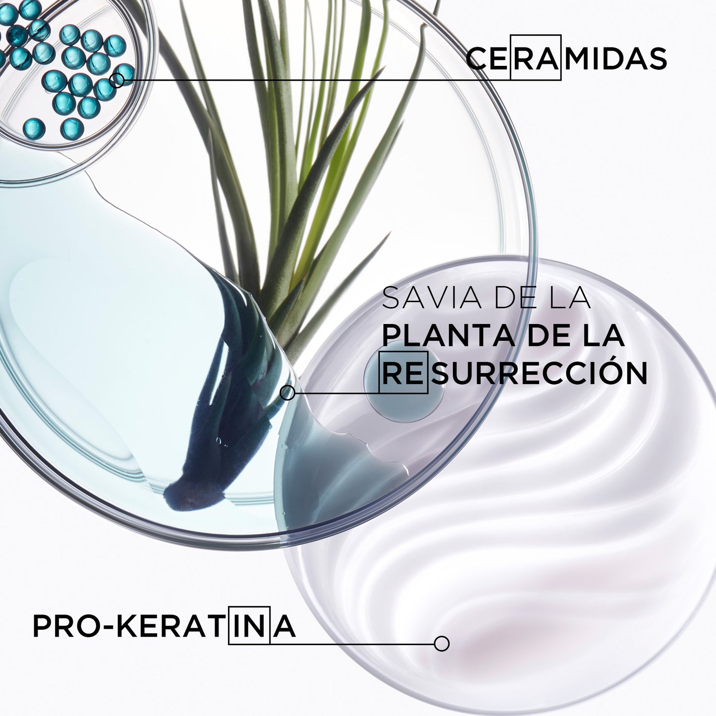 Kérastase Résistance – Bain Force Architecte 500ml | Shampoo Reparador para Cabello Dañado